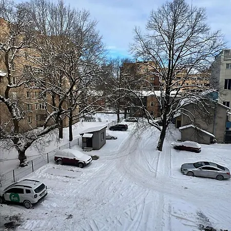 Dzīvoklis Stylish In Eveles Street