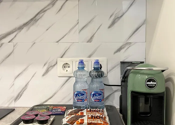 Apartment Stylish In Eveles Street Riga