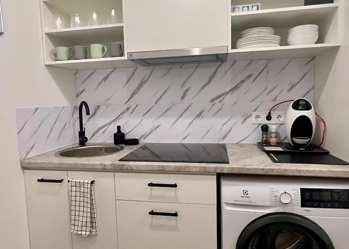 Apartment Stylish In Eveles Street Riga